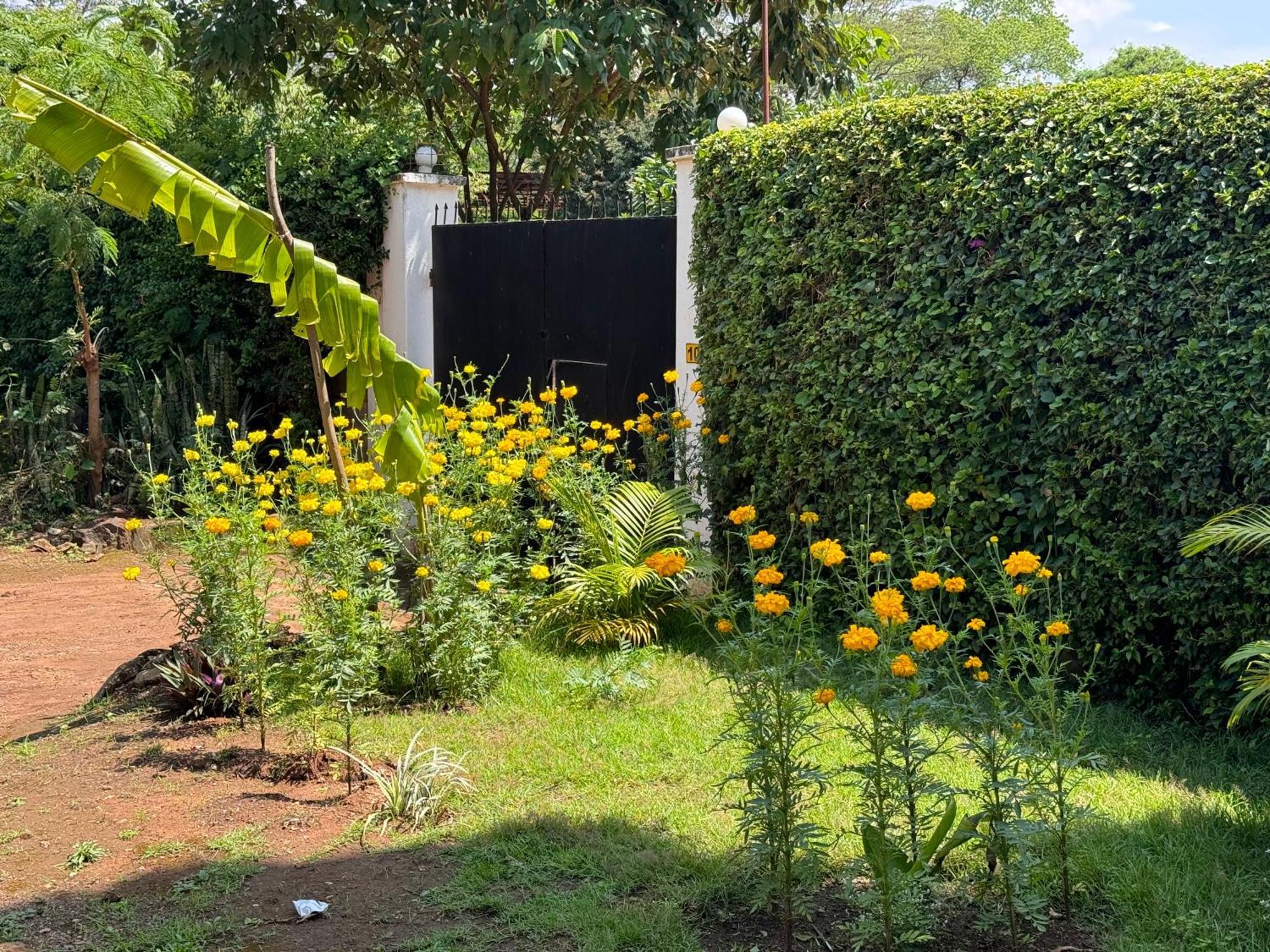 Karibu Africa Home Moshi Esterno foto